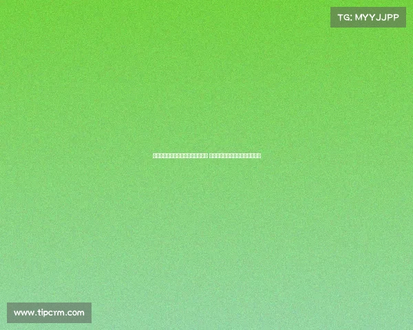 网球比赛设备的选择与使用技巧分析 如何提升竞技表现与保障运动安全